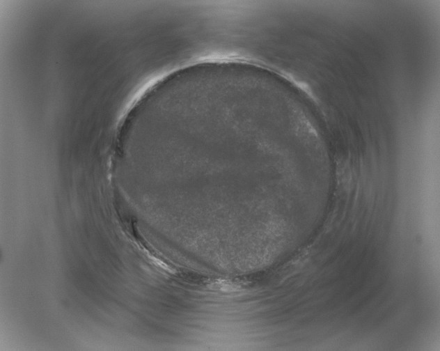 X0000078871311200612041948