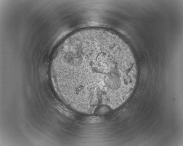 X0000078871314200612041948