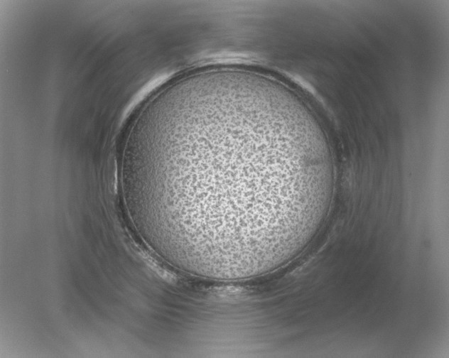 X0000078871317200612041948