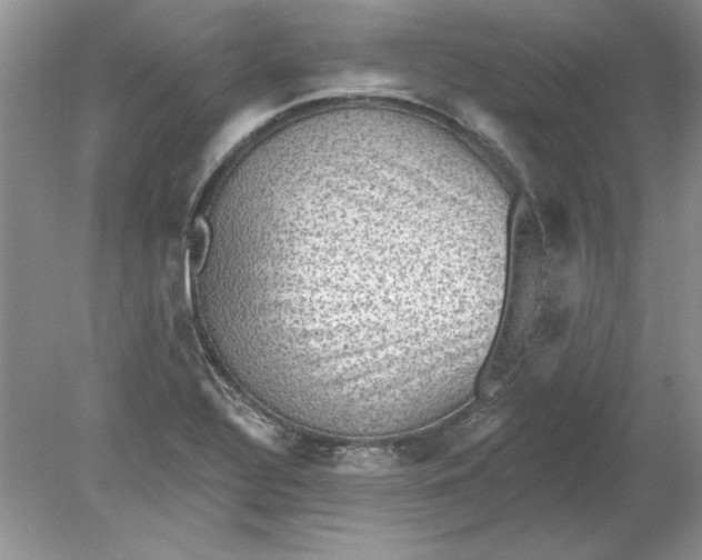 X0000078871320200612041948