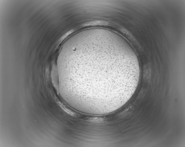 X0000078871321200612041948