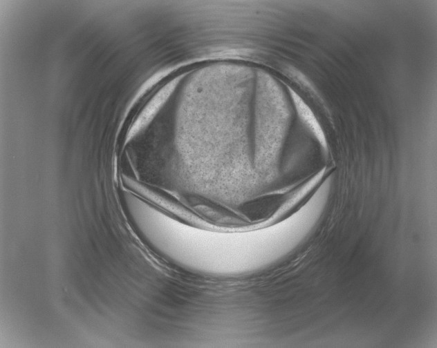 X0000078871324200612041948