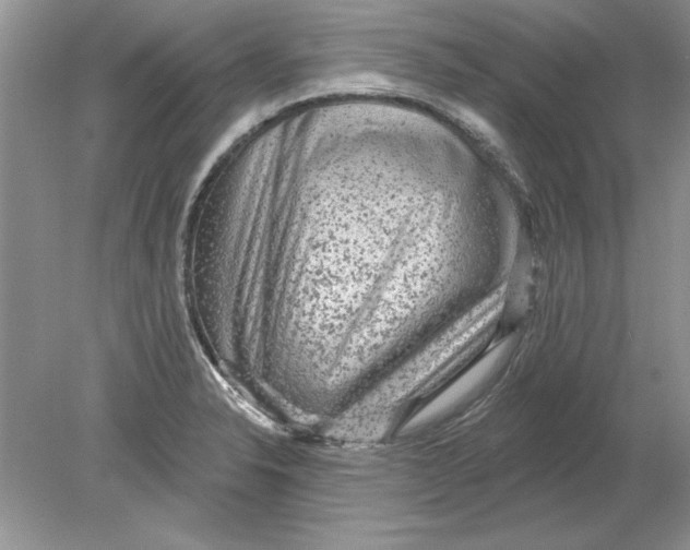 X0000078871326200612041948