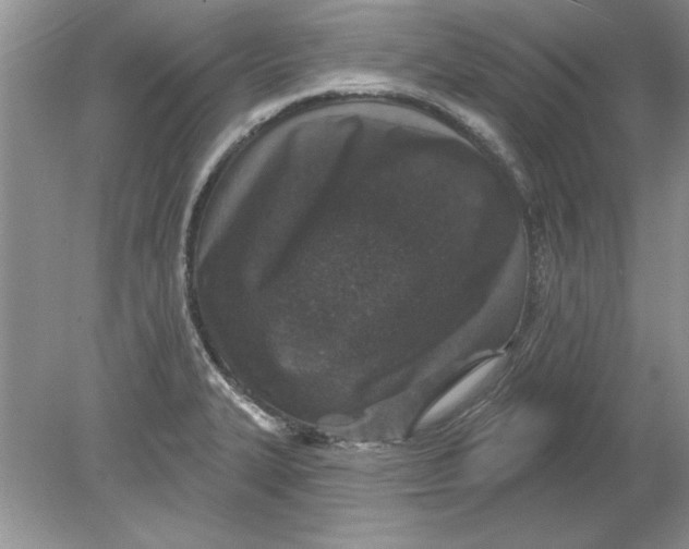 X0000078871327200612041948