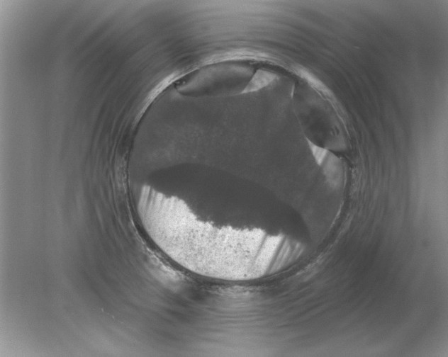 X0000078871329200612041948