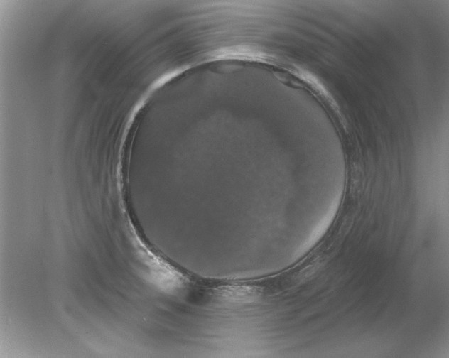 X0000078871331200612041948