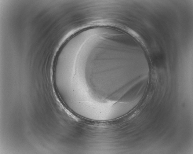 X0000078871334200612041948