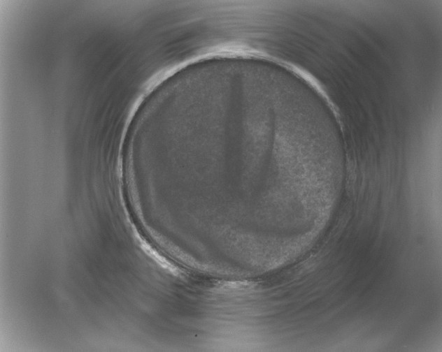 X0000078871335200612041948