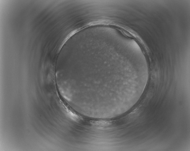 X0000078871337200612041948