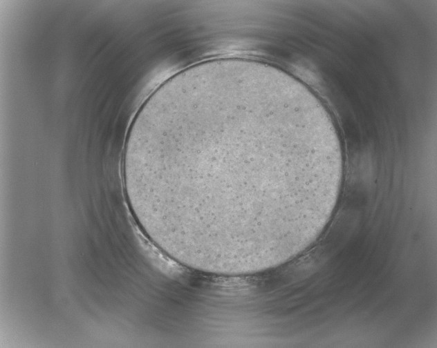 X0000078871338200612041948