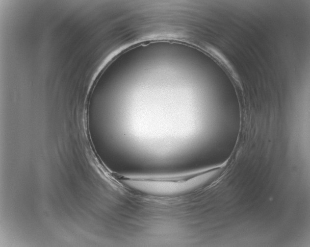 X0000078871340200612041948