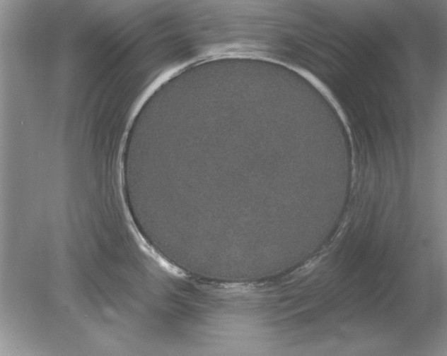 X0000078871341200612041948