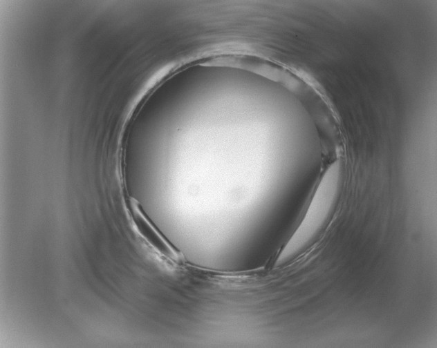 X0000078871342200612041948