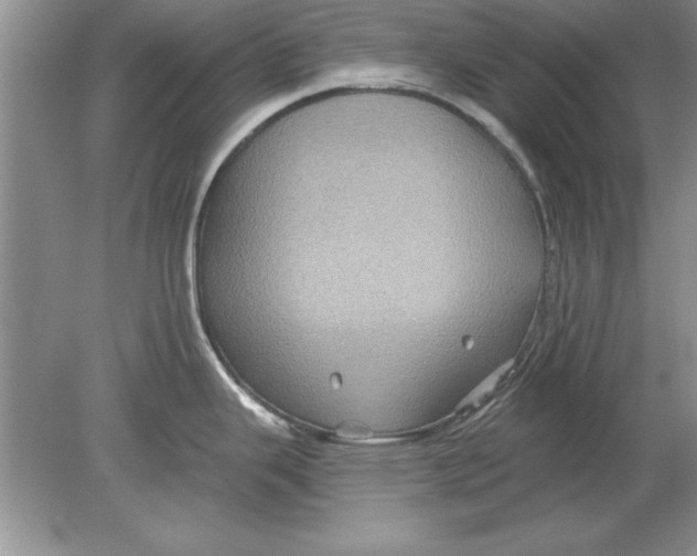 X0000078871343200612041948