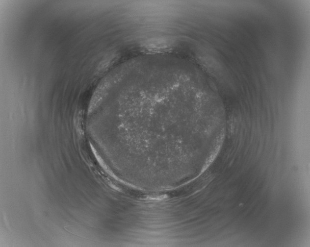 X0000078871346200612041947