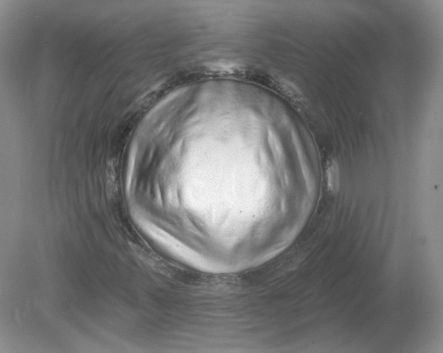 X0000078871347200612041947