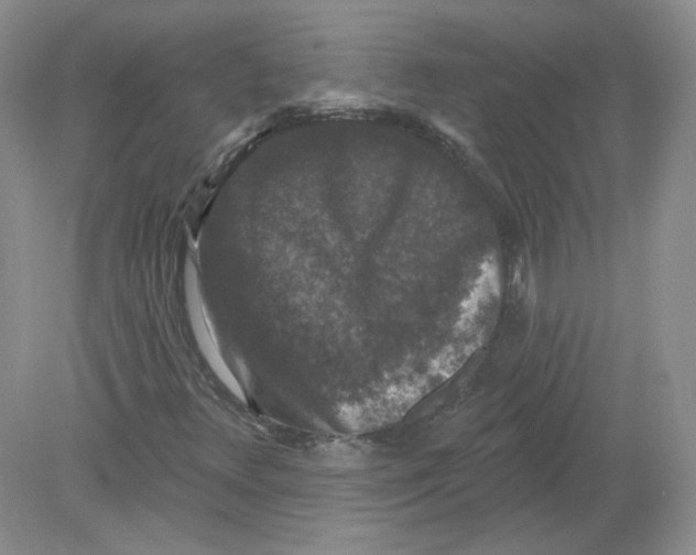 X0000078871348200612041947