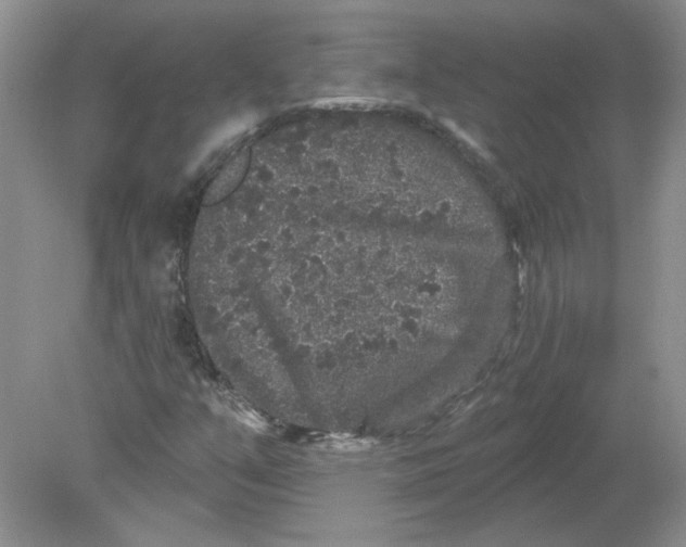 X0000078871351200612041947