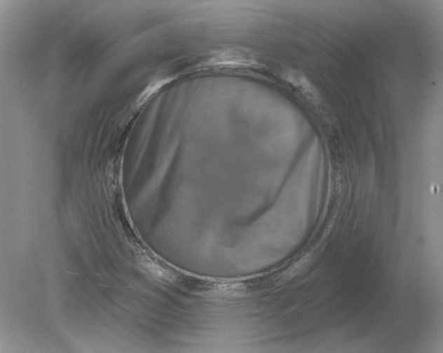 X0000078871353200612041947