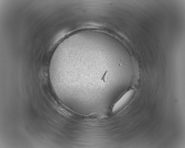 X0000078871355200612041947