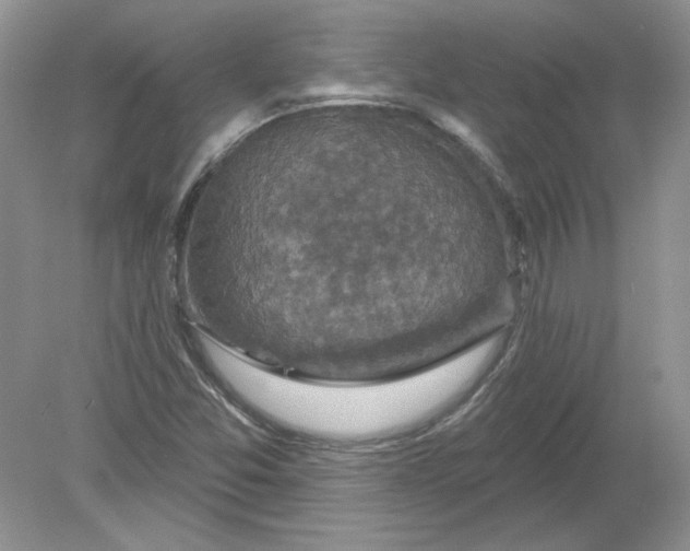 X0000078871357200612041947