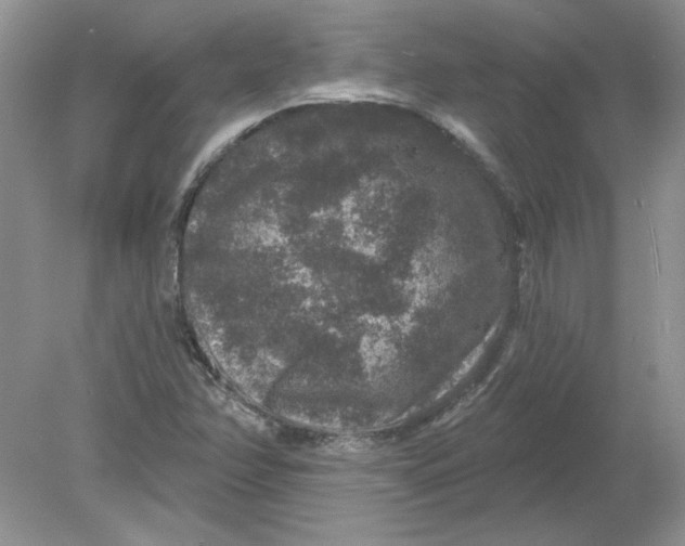 X0000078871358200612041947