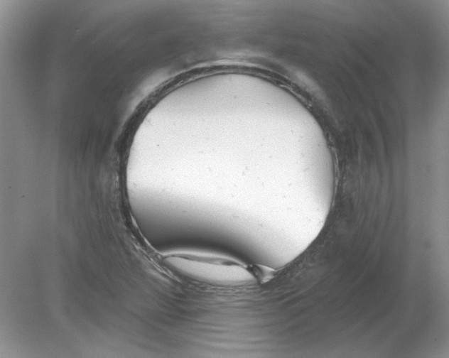 X0000078871360200612041947