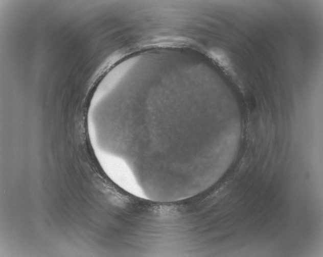 X0000078871362200612041947