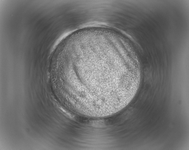 X0000078871363200612041947