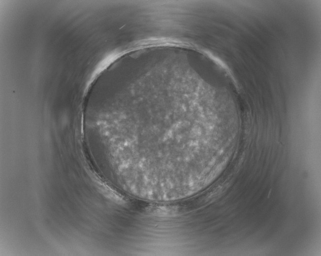 X0000078871365200612041947