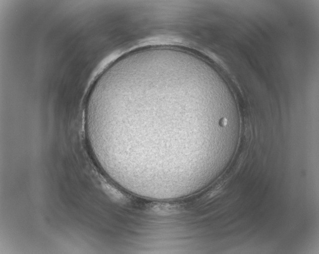 X0000078871366200612041947