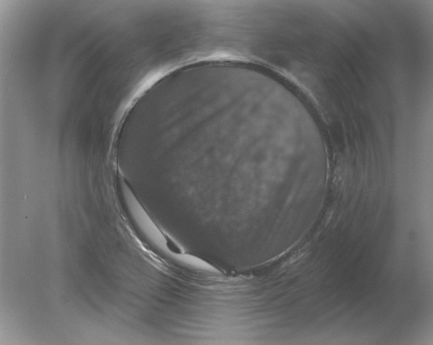 X0000078871367200612041947