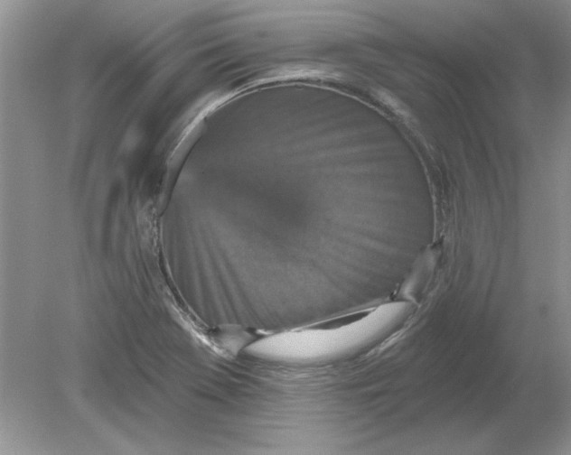 X0000078871369200612041947