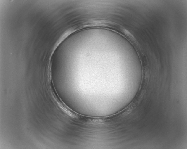 X0000078871370200612041947