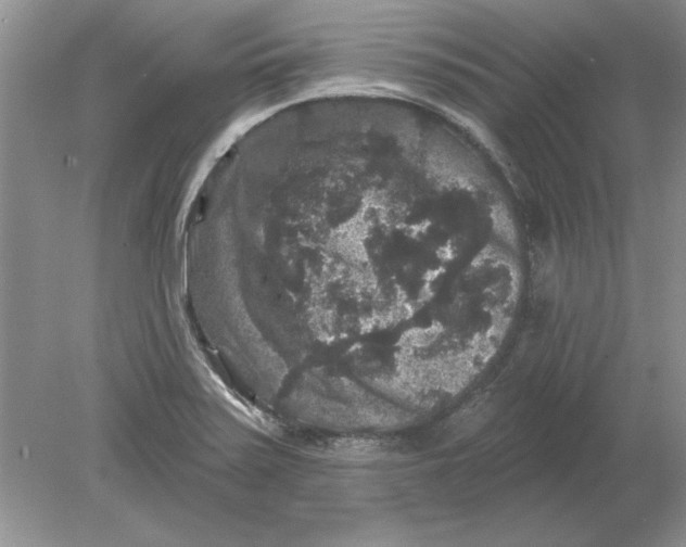 X0000078871371200612041947