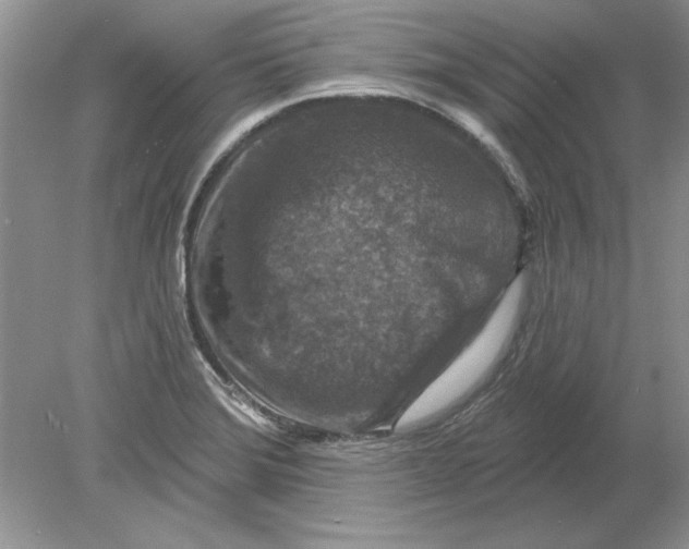 X0000078871372200612041947