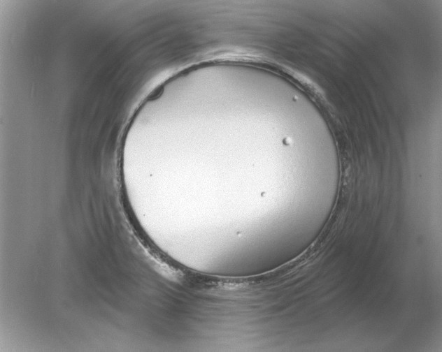 X0000078871375200612041947