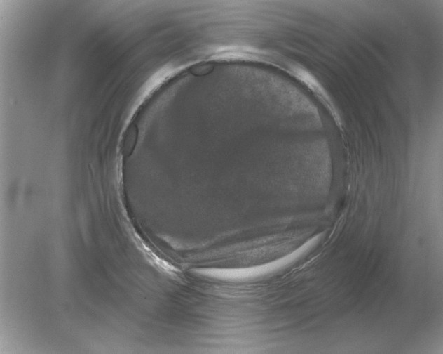 X0000078871376200612041947