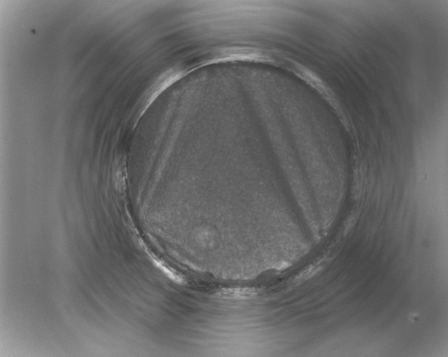 X0000078871377200612041947