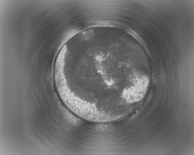 X0000078871378200612041947