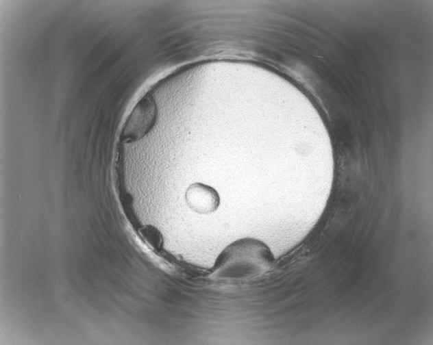 X0000078871379200612041947