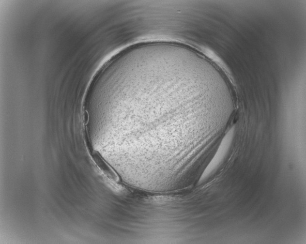 X0000078871380200612041947