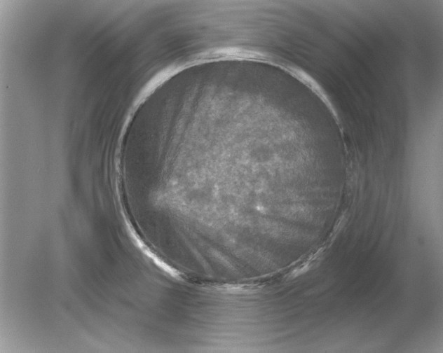 X0000078871381200612041947