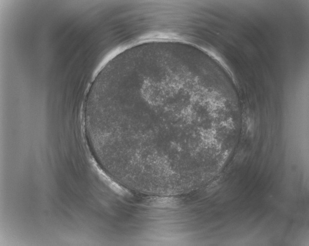 X0000078871382200612041947