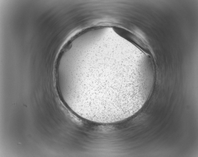 X0000078871384200612041947