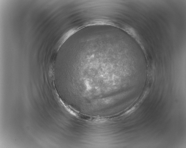 X0000078871385200612041947