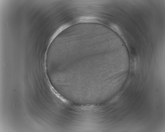 X0000078871386200612041947