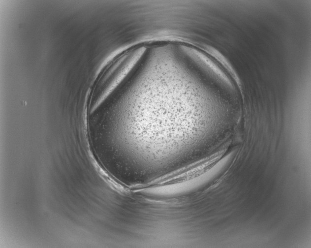 X0000078871388200612041947