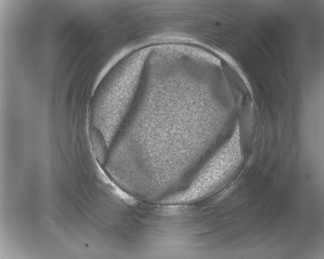 X0000078871390200612041947