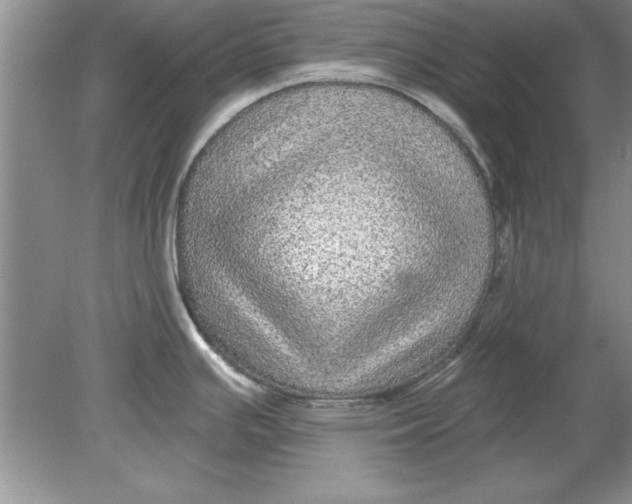 X0000078871391200612041947